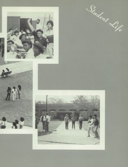 Explore 1982 Reagan High School Yearbook, Houston TX - Classmates