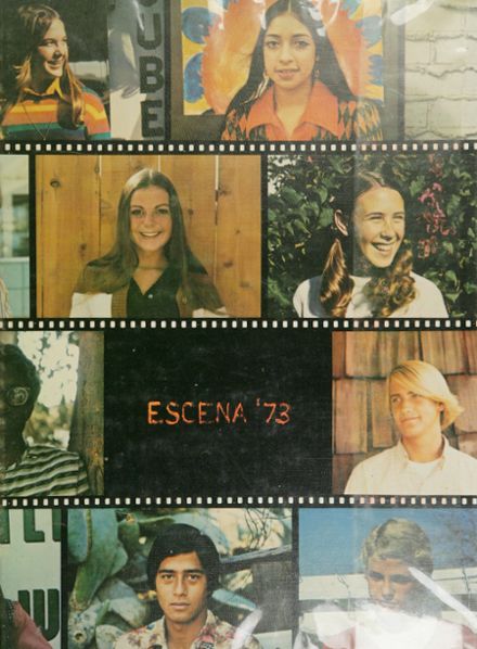 How do you view yearbooks from 1973?