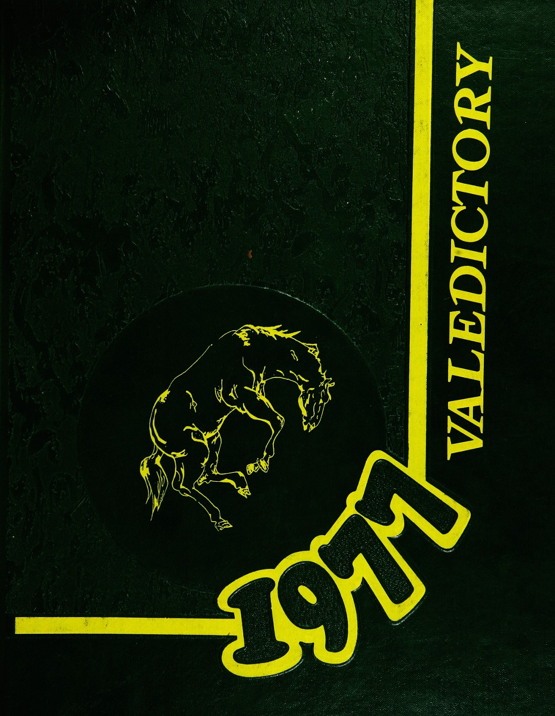 1977 Yearbook From Sussex County Vo Tech High School From Sparta New