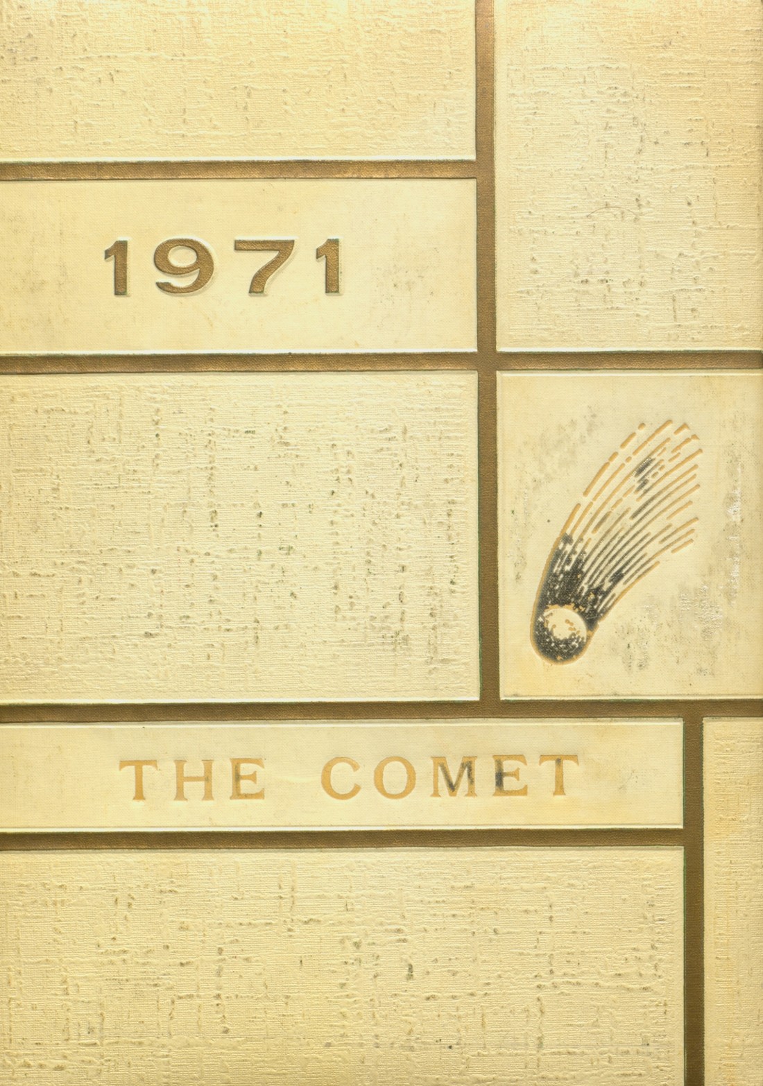 1971 Yearbook From Carlisle County High School From Bardwell Kentucky