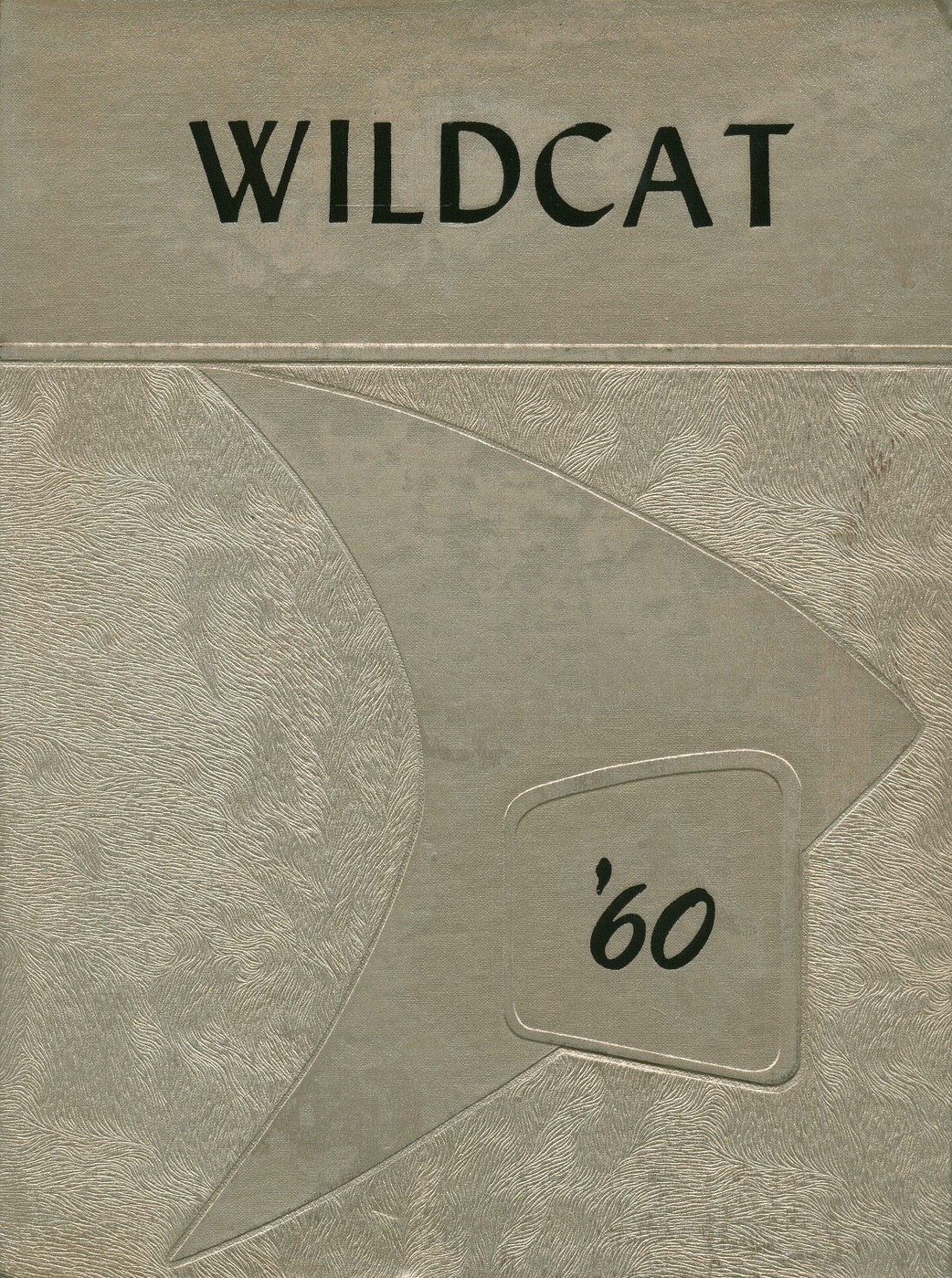 1960 yearbook from Archer City High School from Archer city, Texas