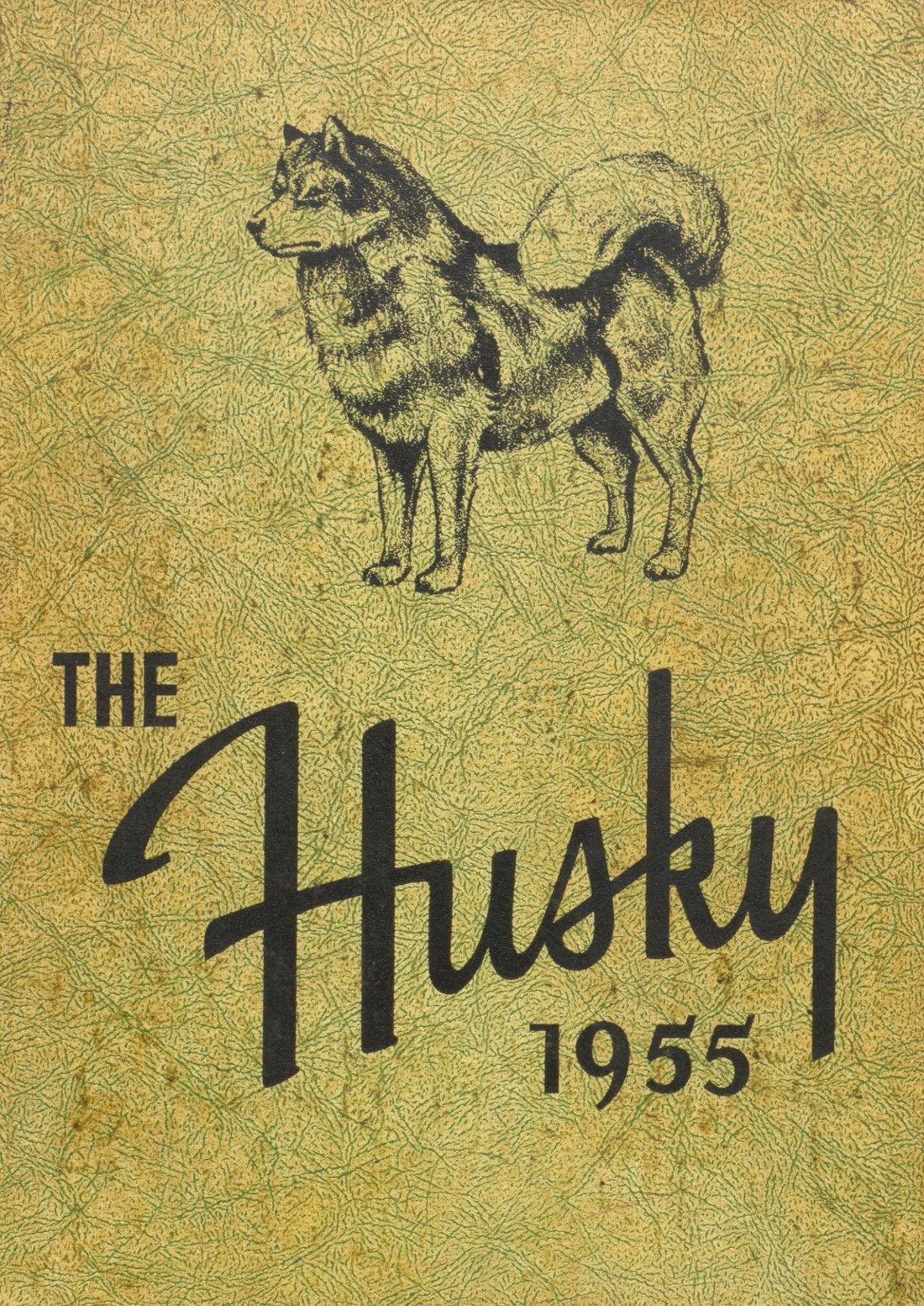1955 yearbook from Shelby High School from Shelby, Nebraska for sale