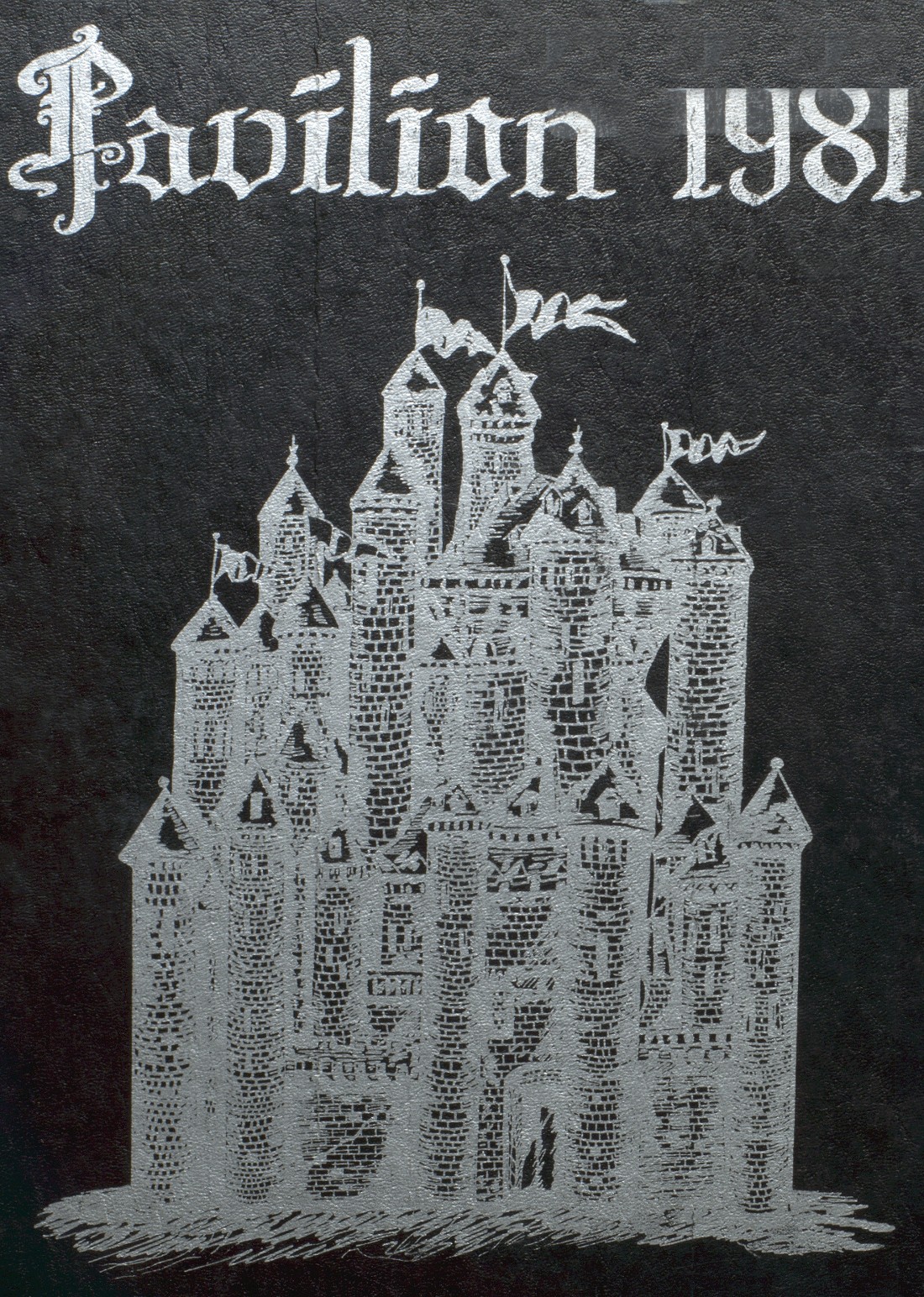 1981 yearbook from Del Norte High School from Albuquerque, New Mexico