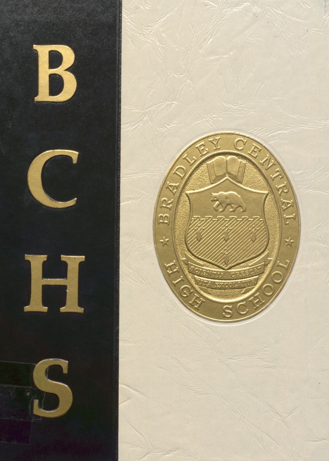 1993-yearbook-from-bradley-central-high-school-from-cleveland