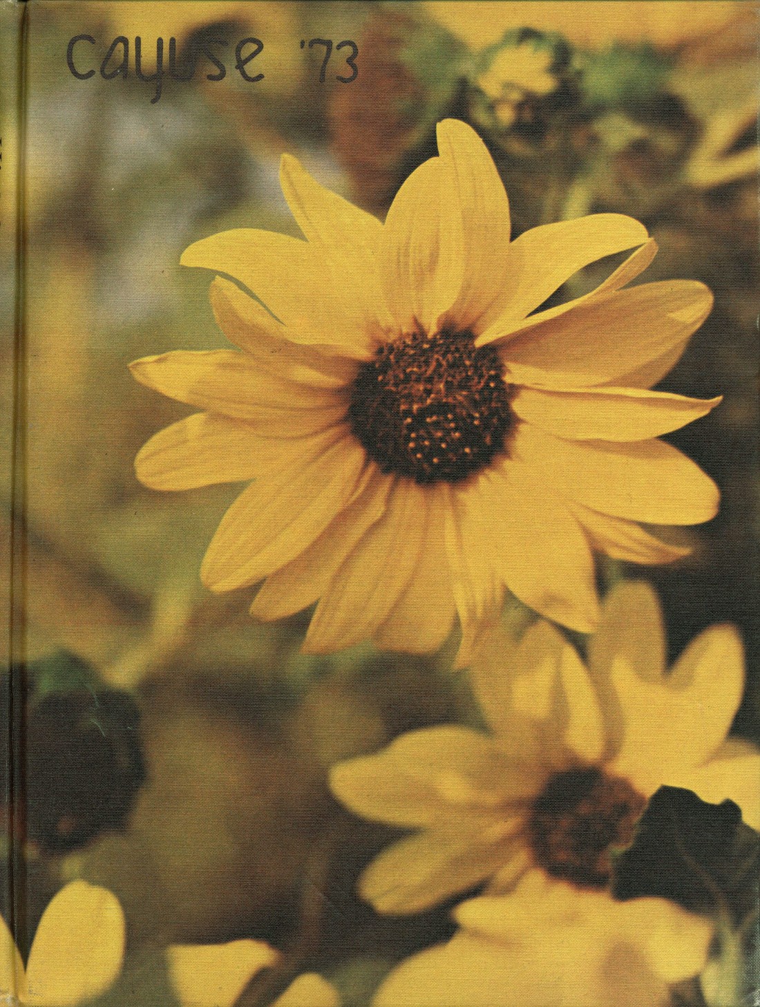 1973-yearbook-from-walnut-high-school-from-walnut-california-for-sale