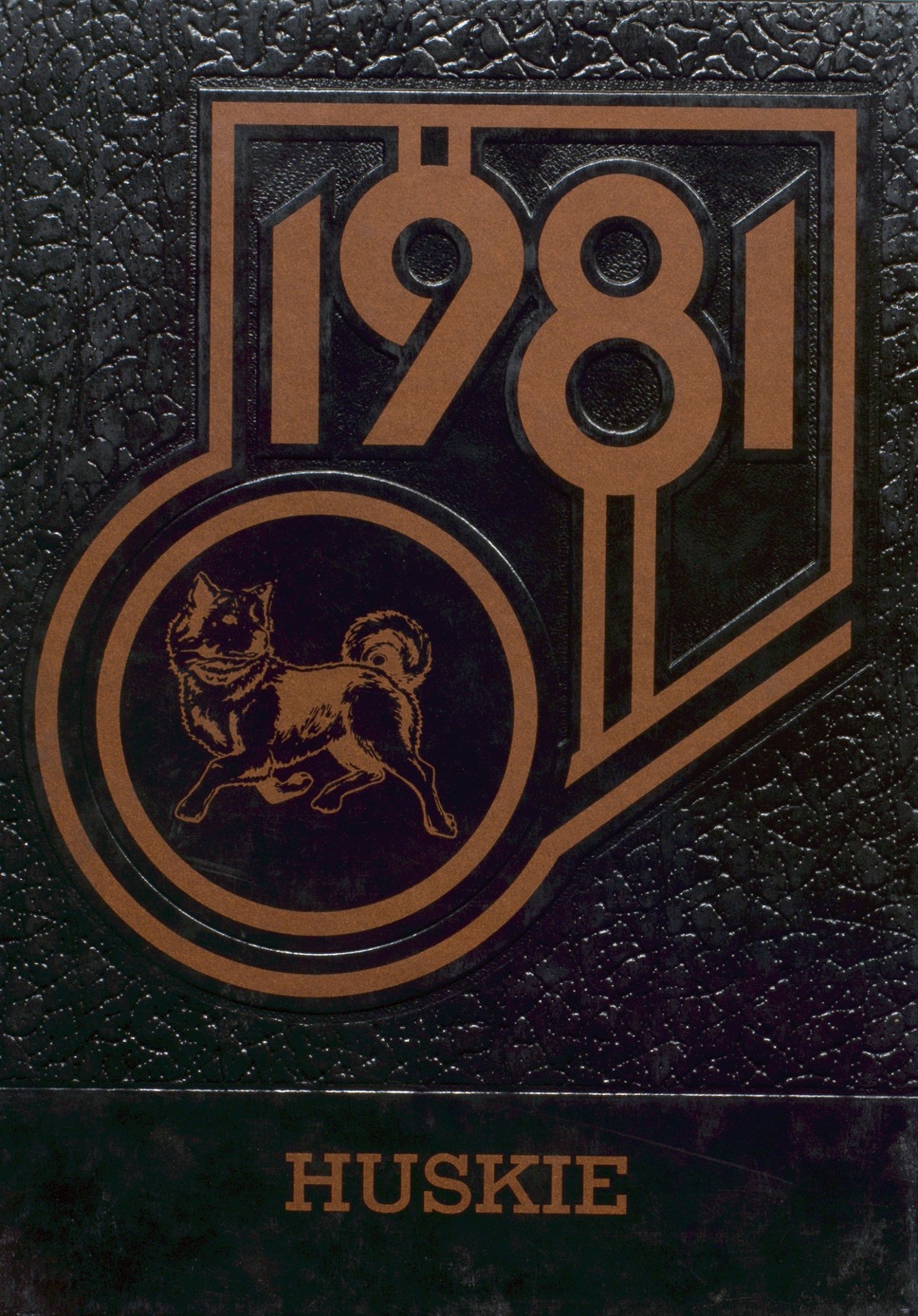 1981 yearbook from Mason City High School from Mason city, Illinois for ...