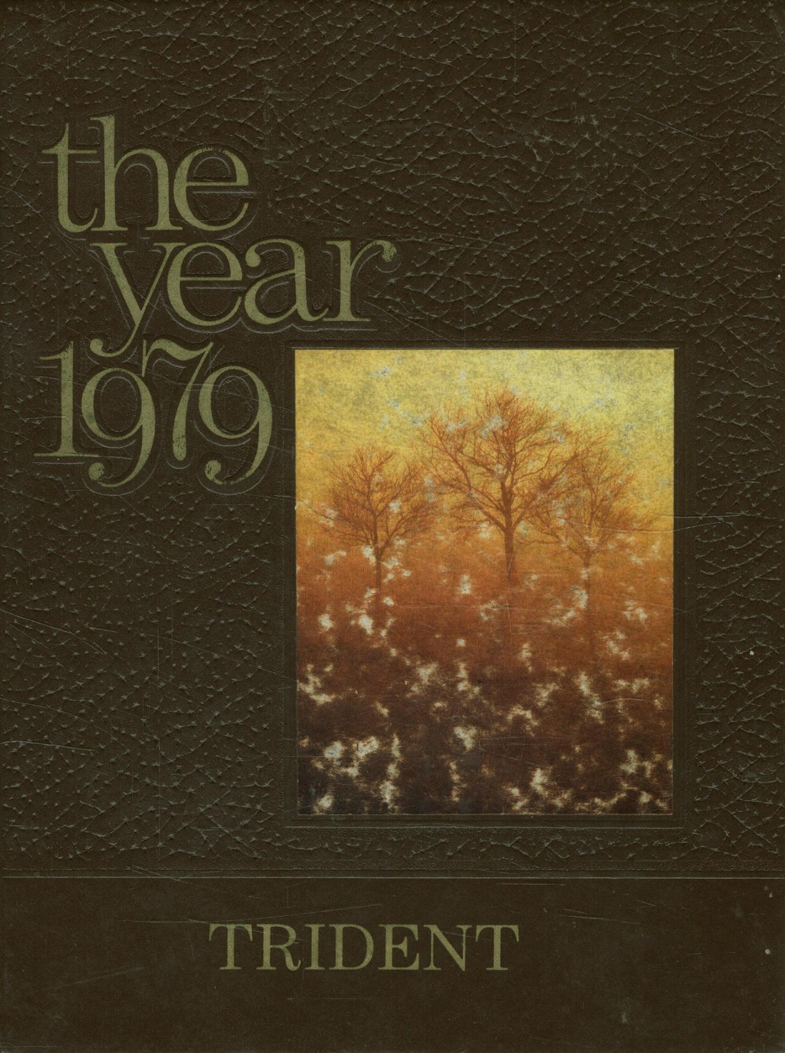 1979 yearbook from Apple Valley High School from Apple valley
