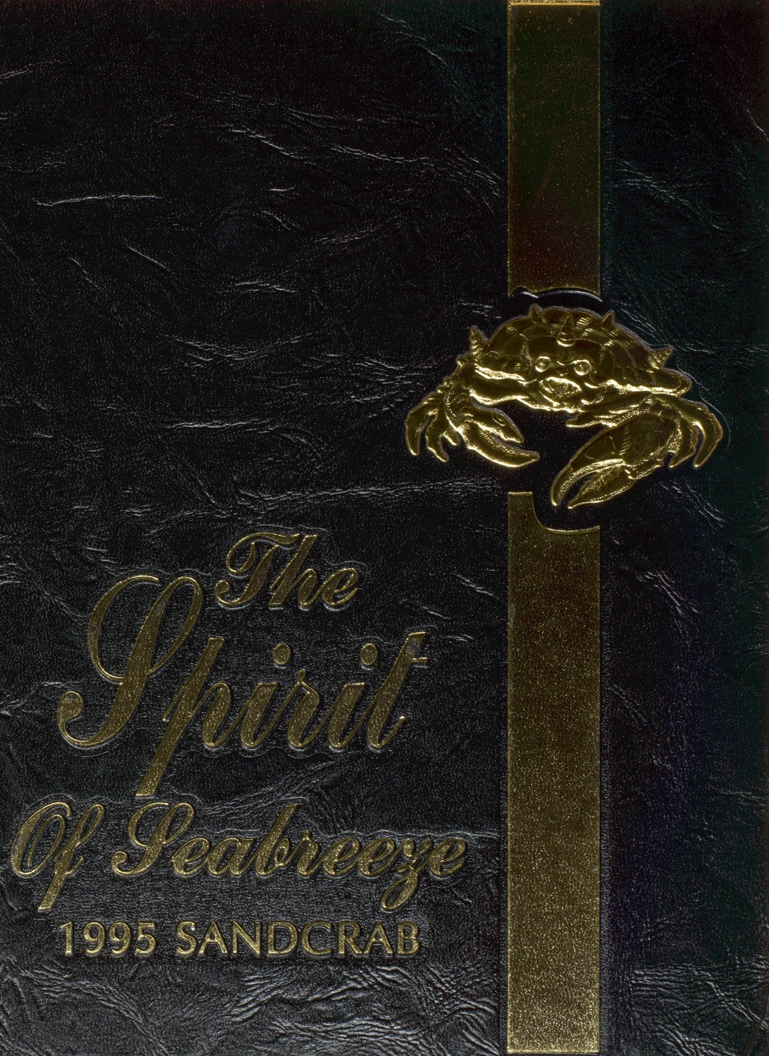 1995 yearbook from seabreeze high school from daytona beach florida