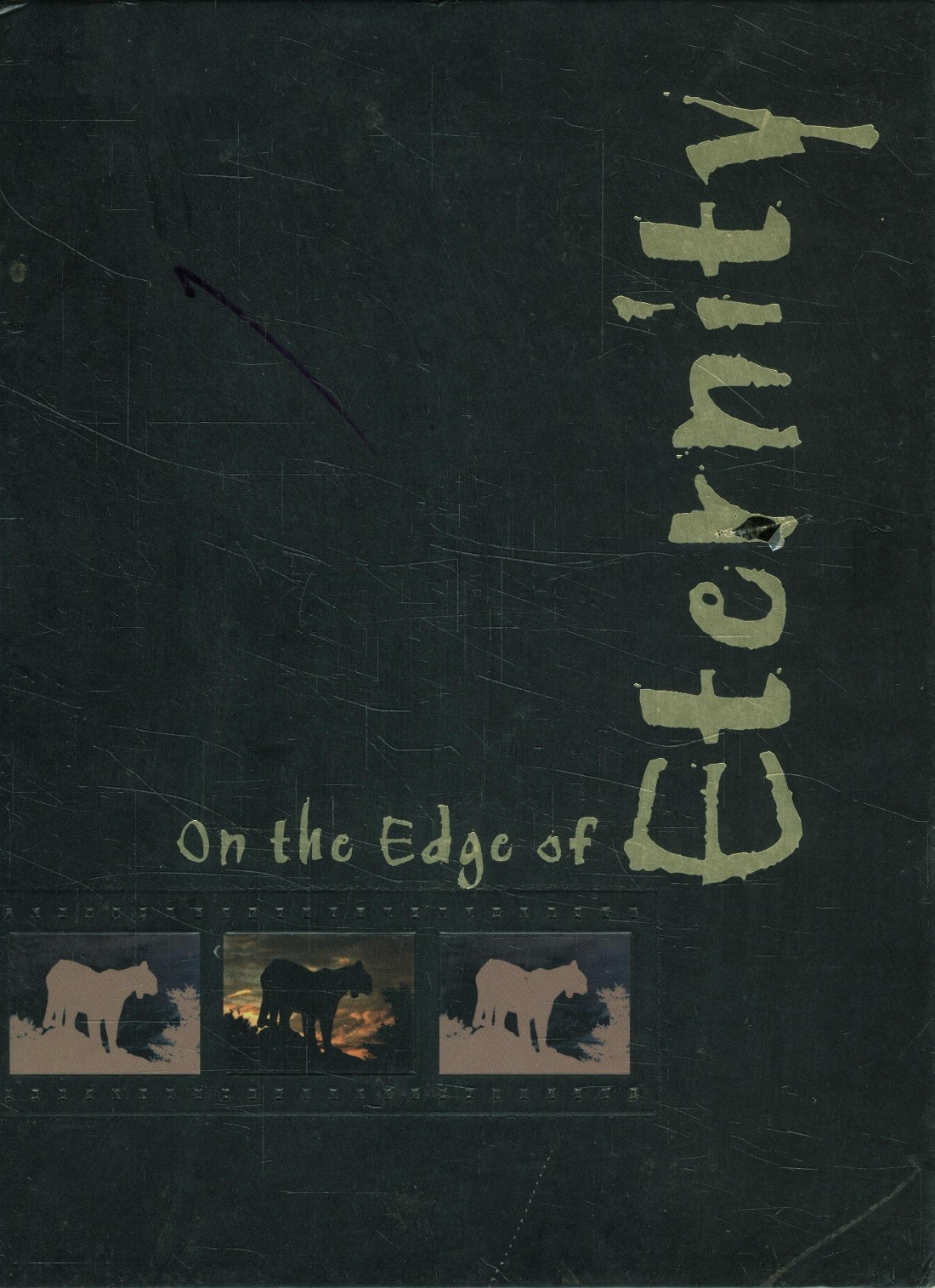 1999 yearbook from Plano East Senior High School from Plano,