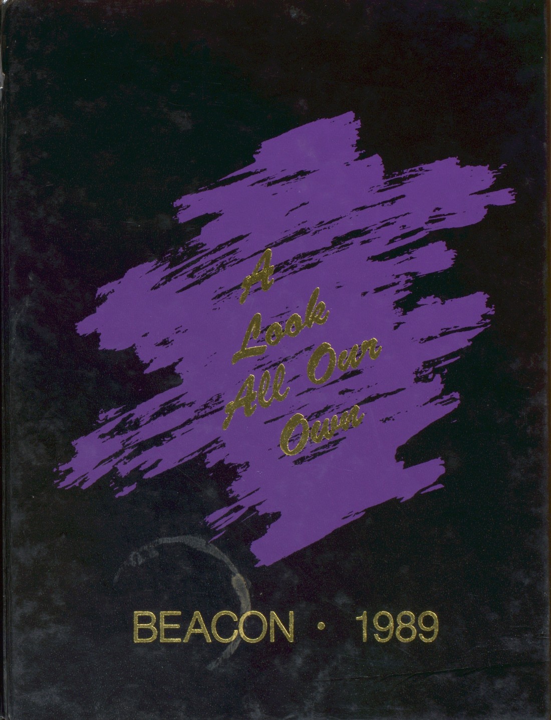 1989 Yearbook From Calvary Baptist Day School From Savannah Georgia 1989 Yearbook From Calvary Baptist Day School From Savannah Georgia