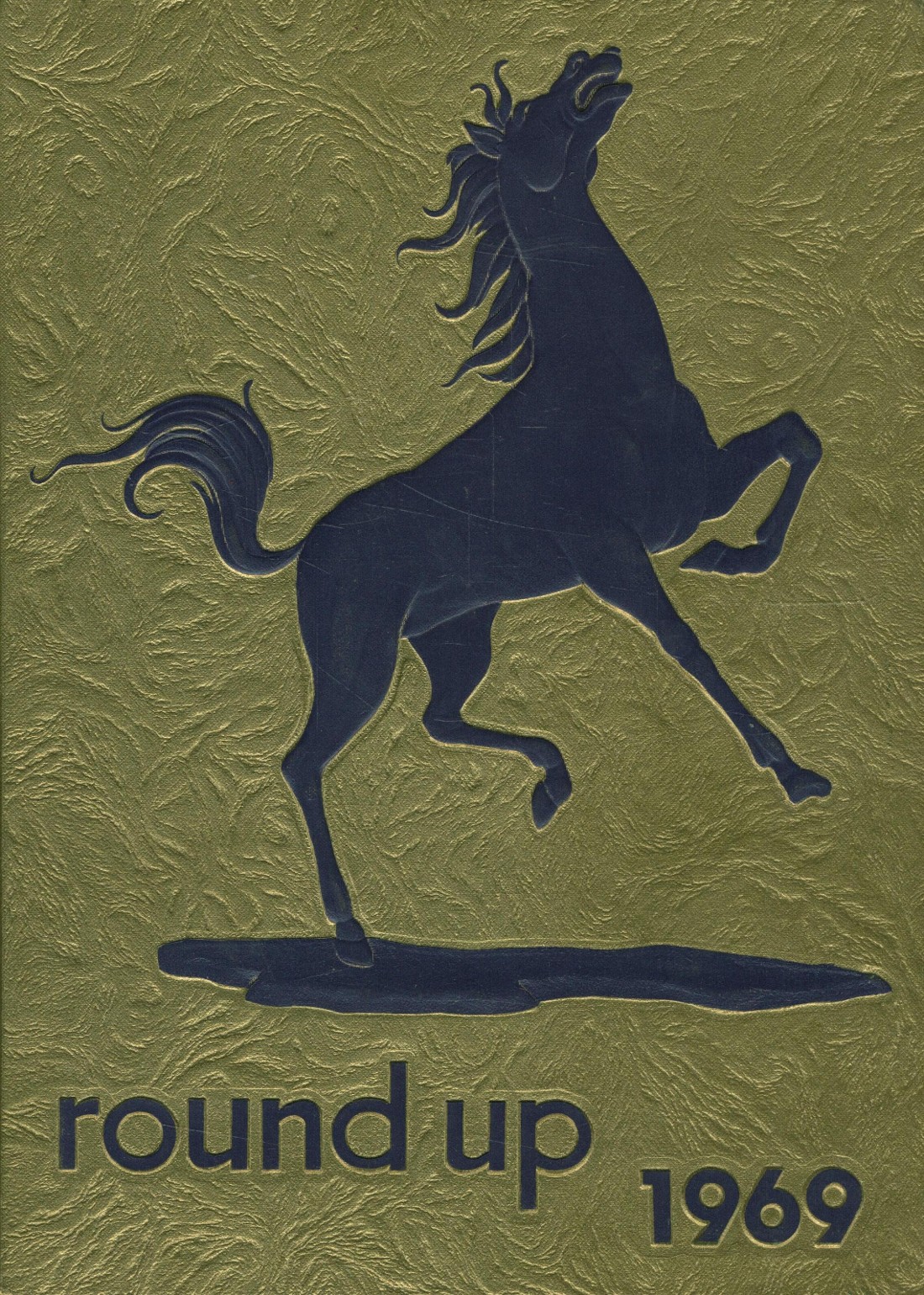 1969 yearbook from Meadow High School from Meadow, Texas for sale