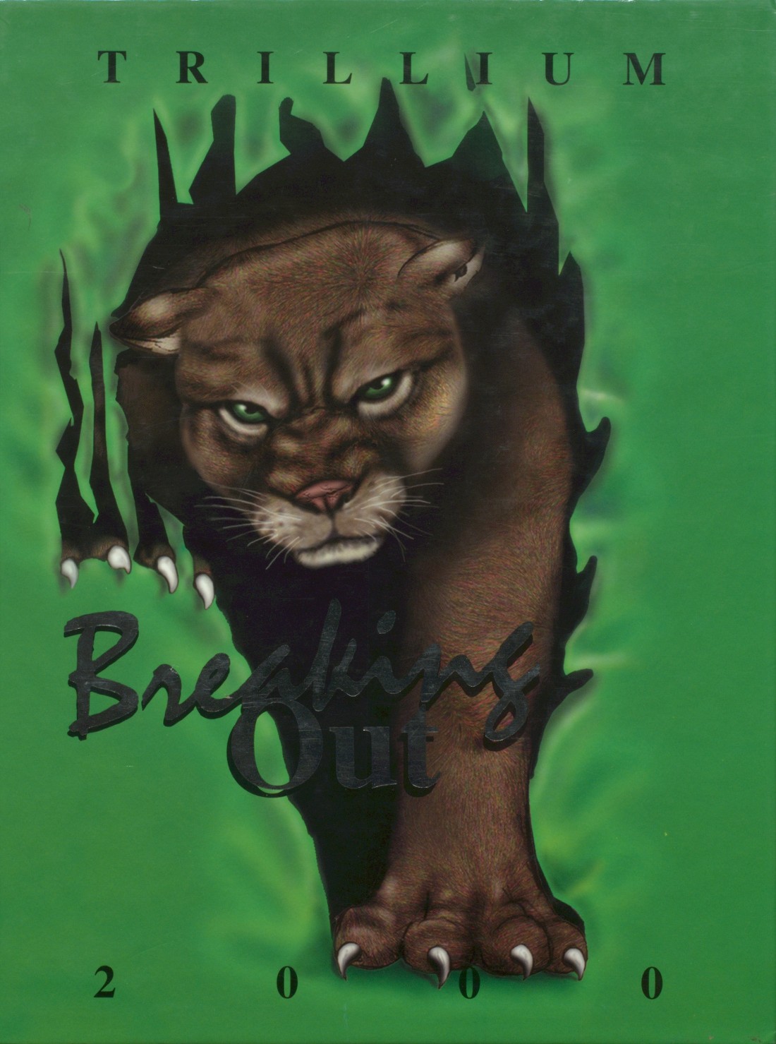 2000-yearbook-from-mountain-heritage-high-school-from-burnsville-north
