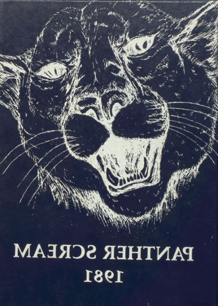 1981 yearbook from Midlothian High School from Midlothian, Texas