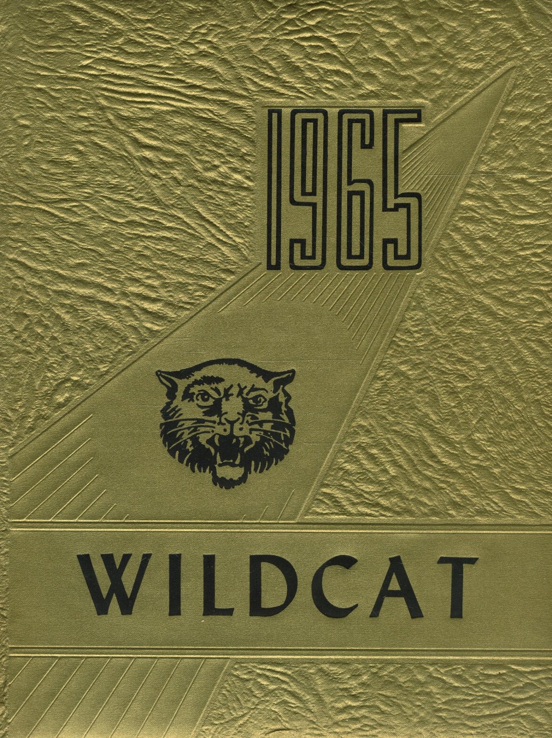1965 yearbook from Sweetwater High School from Sweetwater, Tennessee ...